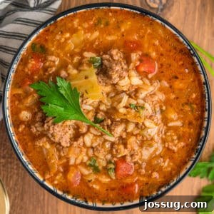 Overhead close-up of a bowl of cabbage roll soup topped with parsley, showcasing tender rice, savory beef, soft cabbage, and rich tomato broth.