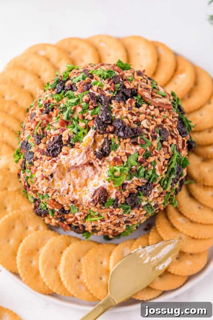 Overhead view of Holiday Cheese Ball with a serving knife and crackers arranged in a circle.