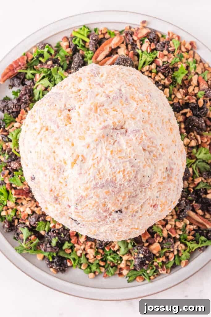 Formed cheese ball on a plate surrounded by chopped pecans, parsley, and dried cherries before rolling.