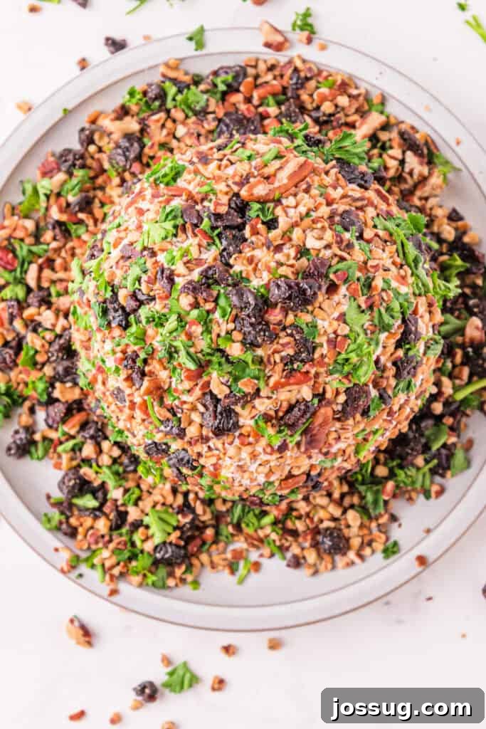 Holiday Cheese Ball fully coated with chopped pecans, dried cherries, and parsley for a festive look.