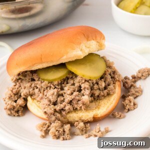 Maid-Rite sandwich with pickles on plate