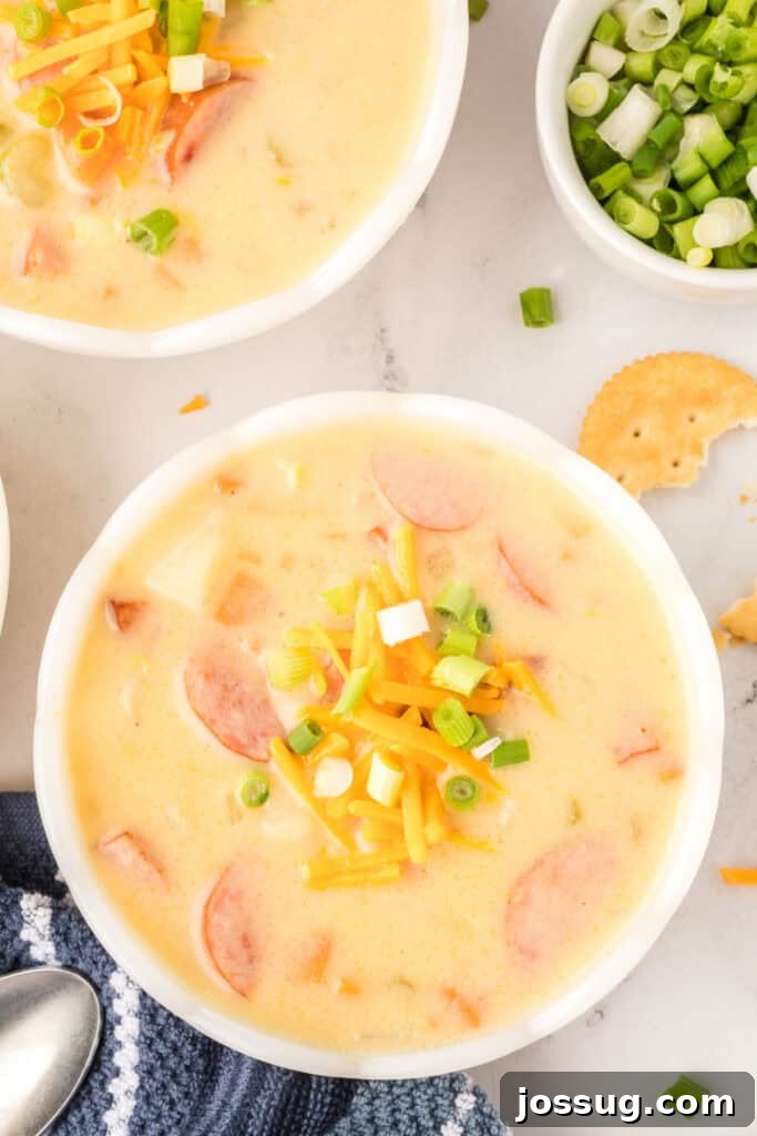Overhead view of cheesy kielbasa potato soup in a large pot surrounded by bowls, crackers, and toppings.