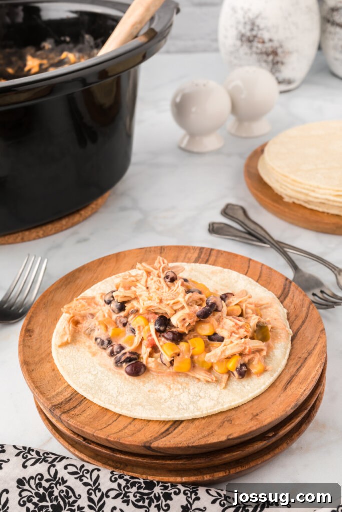 fiesta chicken filling on corn tortilla