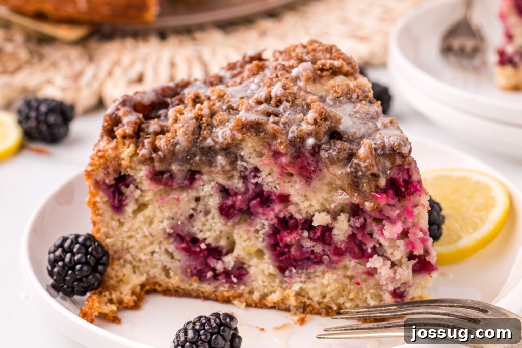 A beautifully plated slice of blackberry lemon coffee cake on a rustic plate