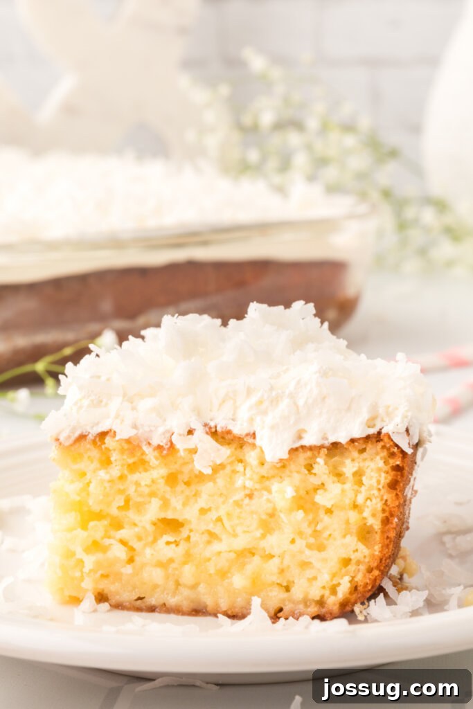 The finished Coconut Cream Poke Cake, topped with whipped cream and toasted coconut flakes, ready to be served