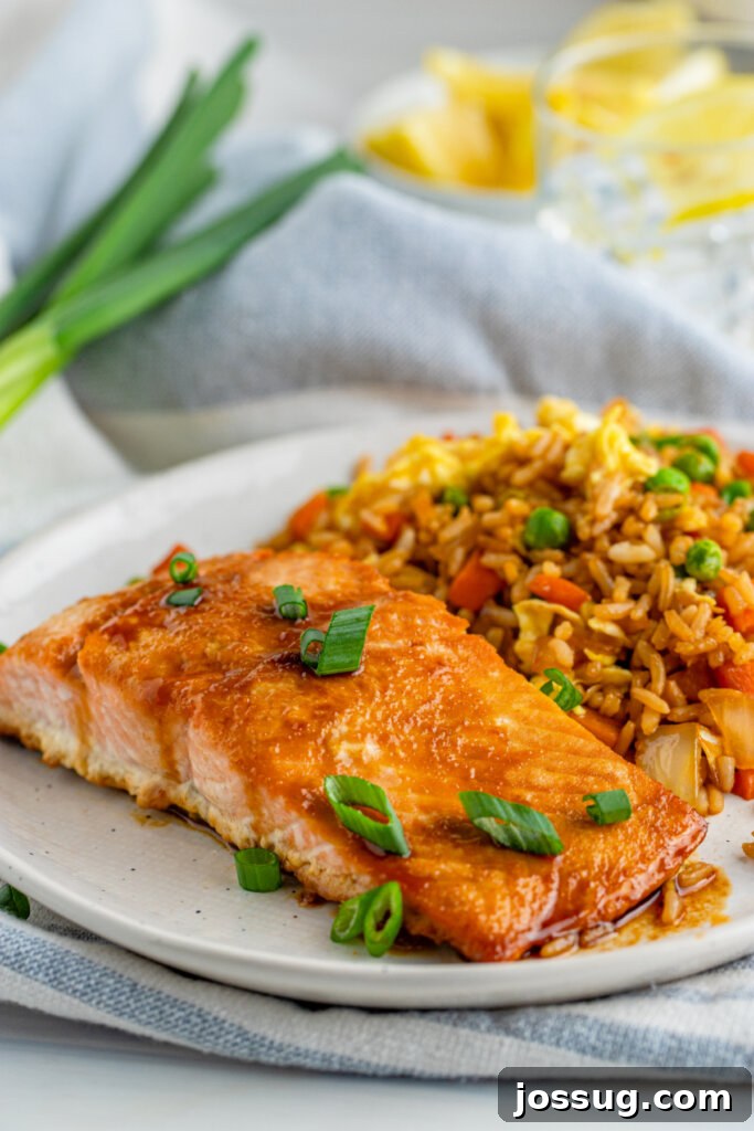 salmon and rice on plate