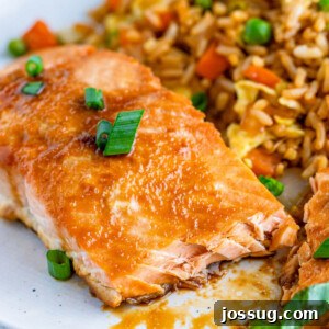 closeup of asian baked salmon with fried rice