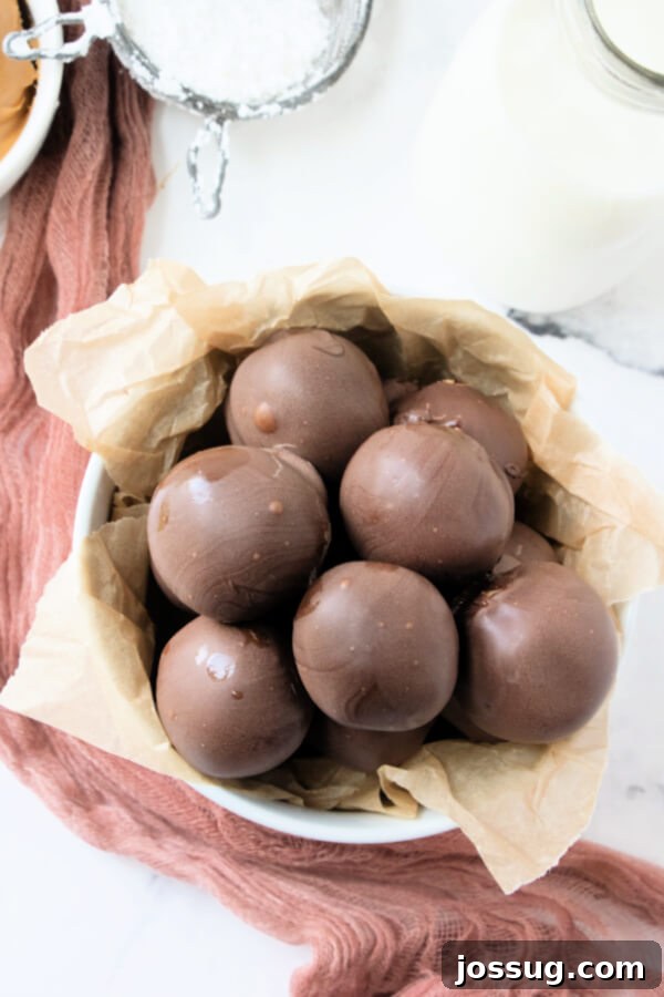 Decadent Peanut Butter Truffles 6 A bowl of delicious Peanut Butter Balls, showcasing their smooth chocolate coating