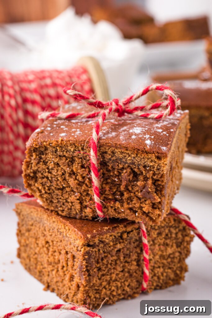 Two generous pieces of gingerbread cake, elegantly tied with twine, symbolizing a rustic holiday treat.