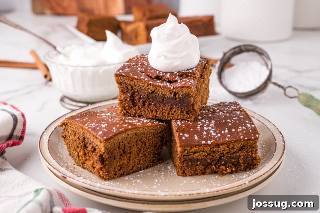 Three perfectly baked slices of gingerbread cake elegantly arranged on a white plate, ready for serving.