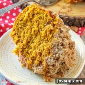 Spiced Pumpkin Streusel Coffee Cake 2 Make breakfast or brunch extra special when you serve this Pumpkin Streusel Coffee Cake! You don't have to wait for fall - Pantry staples make this the perfect coffee cake for a year-round treat.