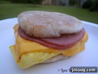Egg McFake Muffin Sandwich