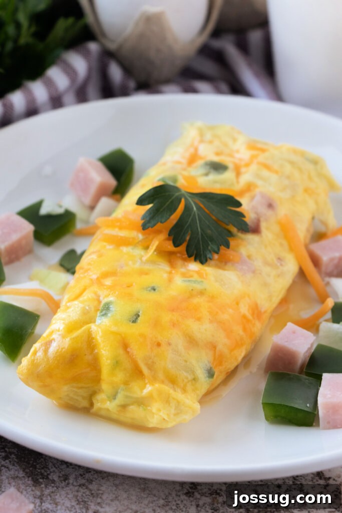Effortless Pouch Omelet 2 Finished omelet in a bag on a white plate, ready to enjoy