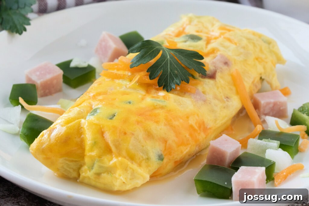 Effortless Pouch Omelet 5 A simple omelet in a bag served on a white plate, ready for a delicious breakfast