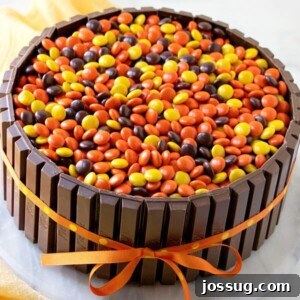 Ultimate Chocolate Kit Kat Cake 2 A beautifully decorated Kit-Kat Cake with peanut butter and chocolate frosting, surrounded by Kit-Kats and filled with Reese's Pieces.