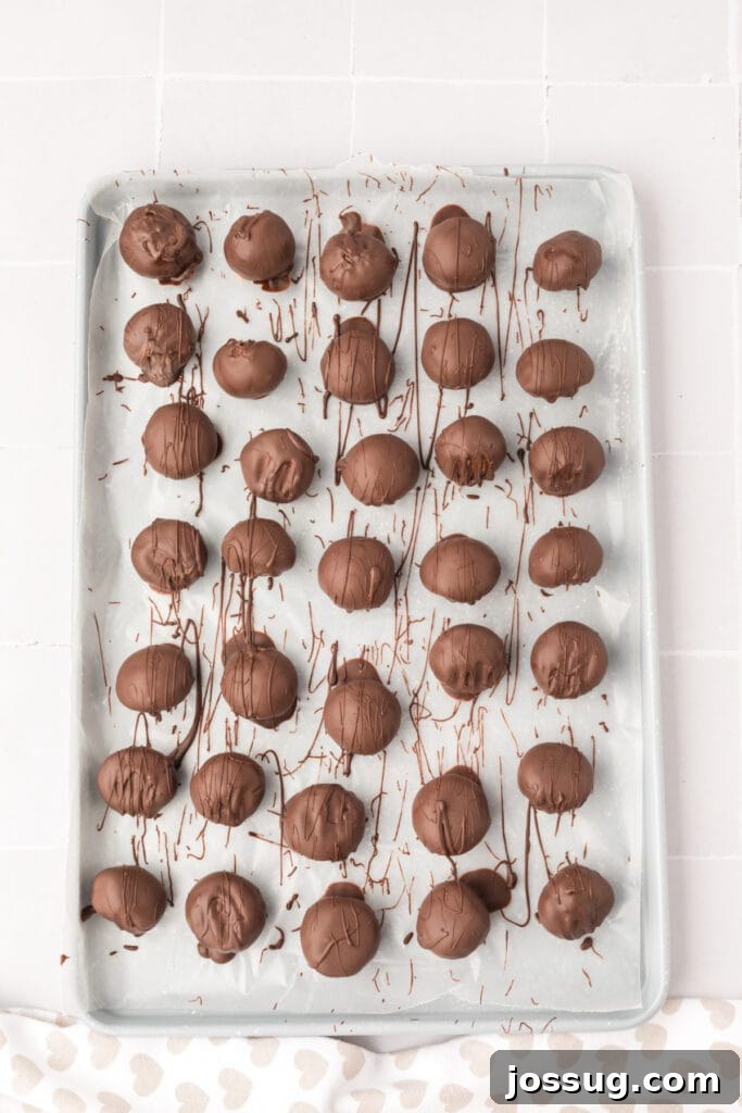 Baking sheet abundantly filled with freshly dipped chocolate-covered cookie dough truffles, each artfully drizzled with extra chocolate for an elegant finish.