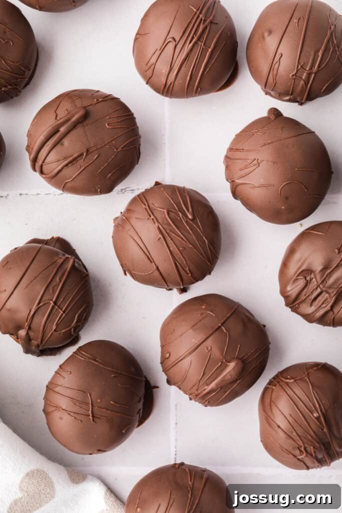 Close-up overhead shot of exquisite chocolate-dipped cookie dough truffles, featuring delicate chocolate drizzle patterns for an enhanced visual appeal.