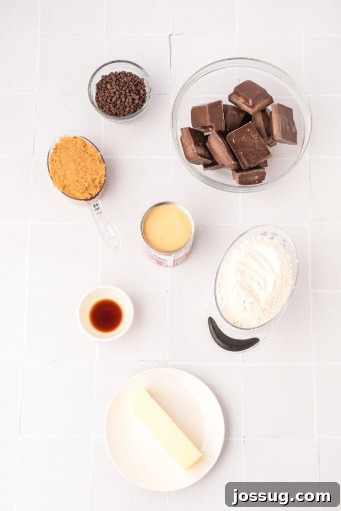 Overhead view of all essential ingredients neatly arranged in bowls and on plates for making edible cookie dough truffles. Ingredients include all-purpose flour, softened unsalted butter, packed brown sugar, a can of sweetened condensed milk, vanilla extract, mini chocolate chips, and chopped semi-sweet chocolate candy coating.