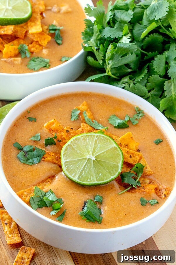 A steaming bowl of creamy Chicken Enchilada Soup, garnished with cilantro and sour cream.