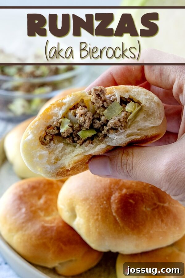A perfectly baked Runza, golden brown and ready to eat, served on a plate.