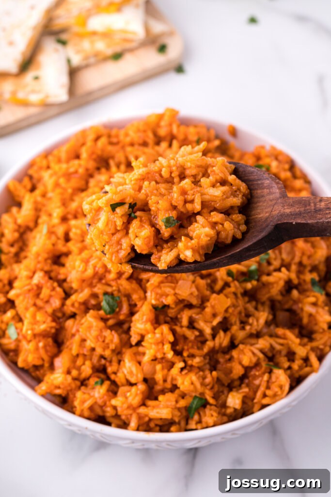Rustic Red Rice Savory Red Rice - Jossug