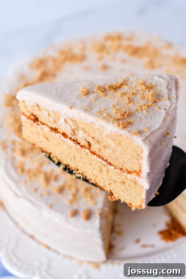 Snickerdoodle Dream 9 Cake slice on spatula over whole cake