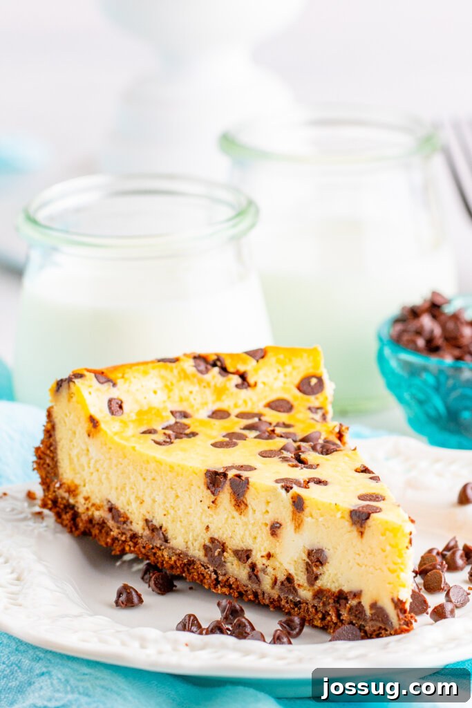 Decadent Chocolate Chip Cheesecake 2 Slice of decadent chocolate chip cheesecake on a pristine white plate, showcasing its rich texture and abundance of chocolate chips