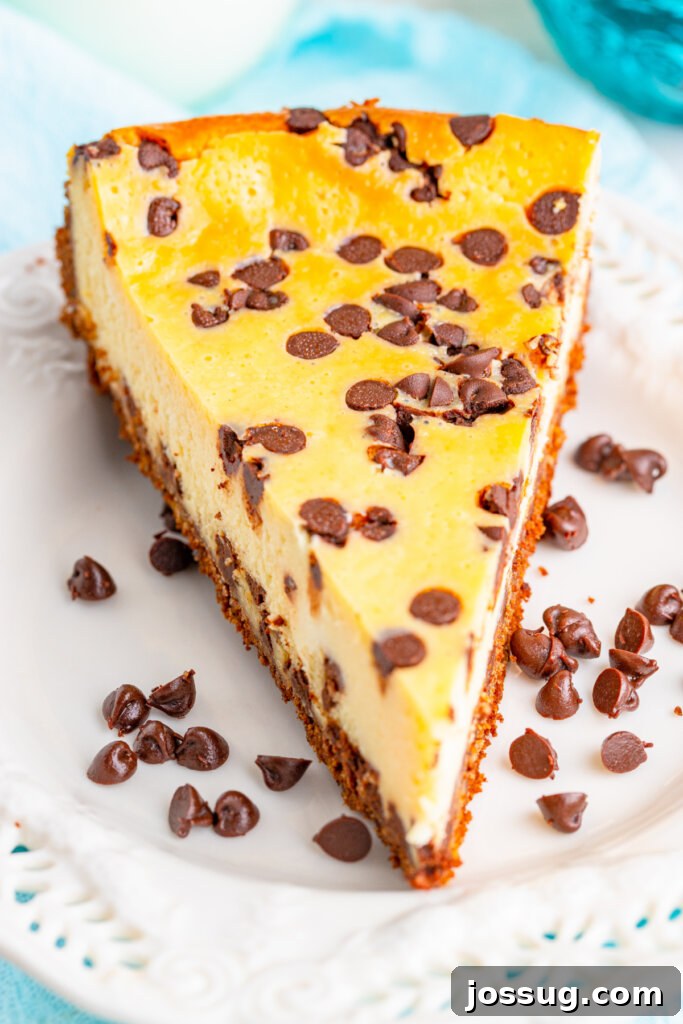 Decadent Chocolate Chip Cheesecake 3 Overhead view of a beautiful slice of chocolate chip cheesecake adorned on a plate, highlighting its creamy filling and generous chocolate distribution