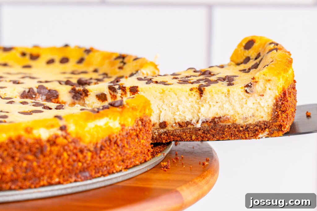 Decadent Chocolate Chip Cheesecake 5 Full chocolate chip cheesecake, beautifully presented, ready to be sliced and served