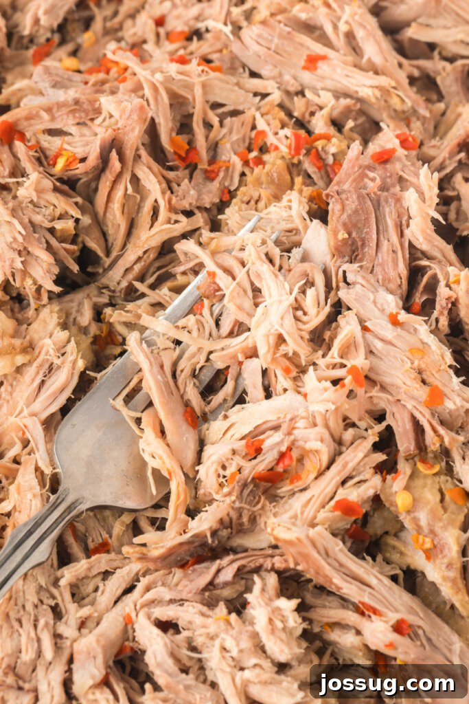 Close-up of shredded Eastern NC pork, generously coated with the glistening vinegar BBQ sauce