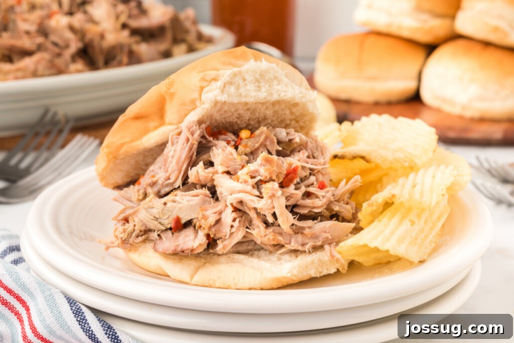 Close-up of a delectable Eastern NC BBQ pulled pork sandwich, served on a bun with extra tangy sauce on the side