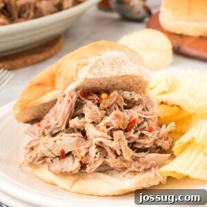 eastern nc pork sandwich with bbq sauce