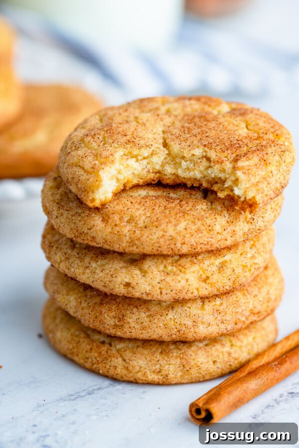 Stacked snickerdoodle cookies, the top one with a bite taken out, showcasing its soft interior and vibrant cinnamon-sugar coating.