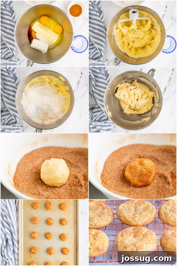 Close-up of dough balls rolled in cinnamon-sugar, arranged on a baking sheet before going into the oven.