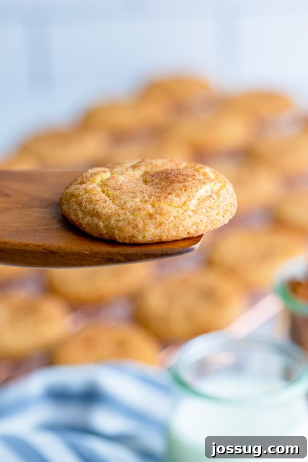A freshly baked snickerdoodle cookie resting on a rustic wooden spatula, with a focus on its soft, crinkled surface.