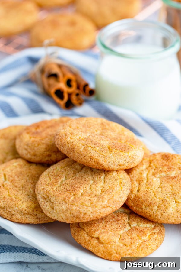 A charming plate filled with perfectly golden Snickerdoodle cookies, ready for serving.