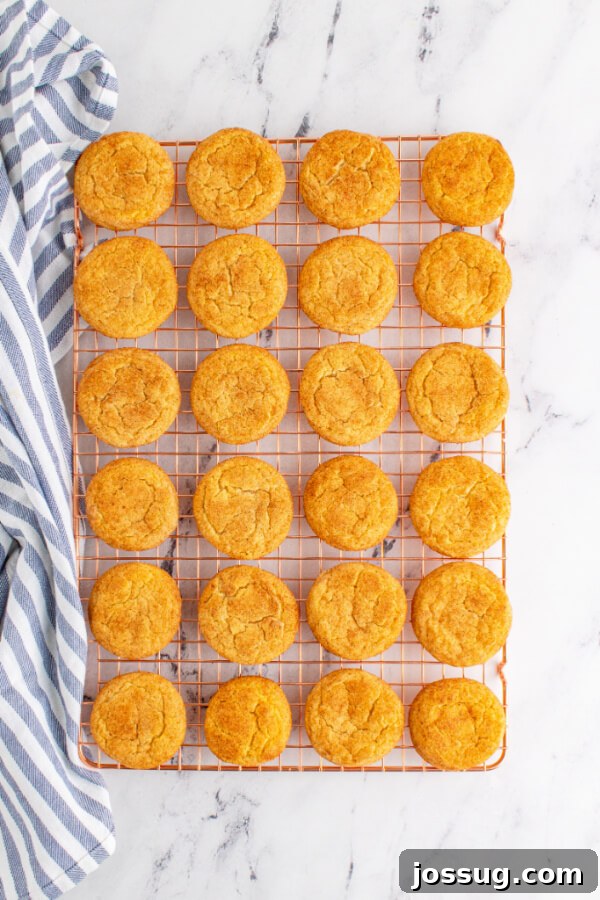 An inviting overhead shot of warm Snickerdoodle cookies cooling on a wire rack, perfectly golden.
