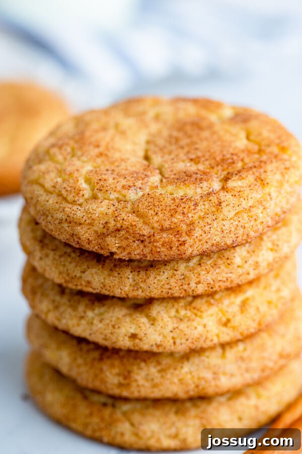 A close-up view of a perfectly stacked trio of Snickerdoodle cookies, highlighting their textured surface and appealing shape.