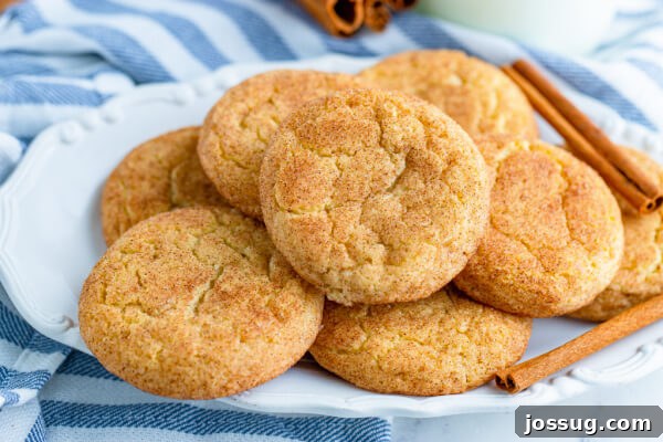 A beautifully arranged plate of fresh Snickerdoodles, ready to be picked up and enjoyed by guests.