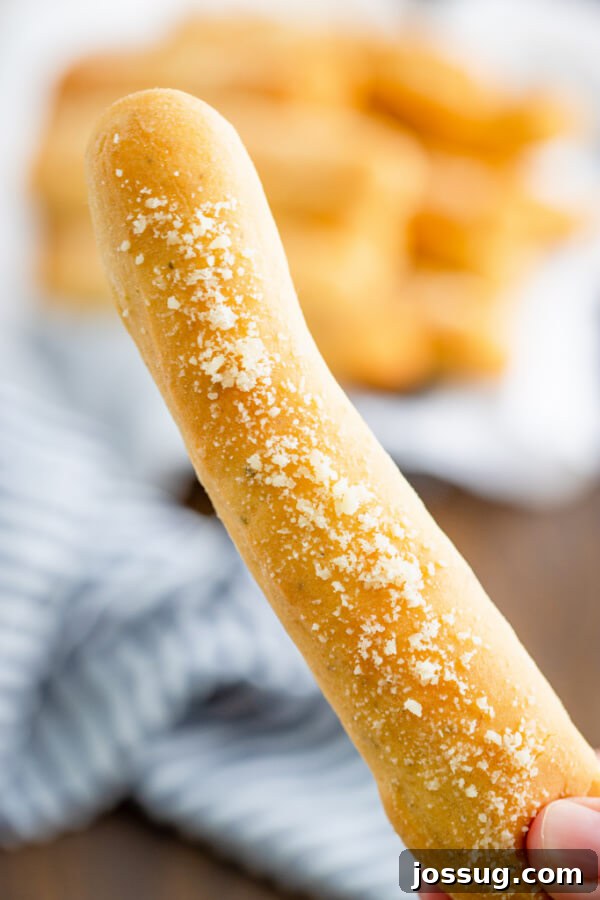 A close-up of a single, golden-brown Soft Italian Breadstick, highlighting its soft texture and cheesy topping.