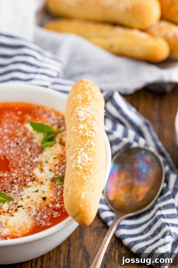 A golden-brown breadstick perfectly positioned on the edge of a bowl filled with rich marinara sauce, inviting to be dipped.