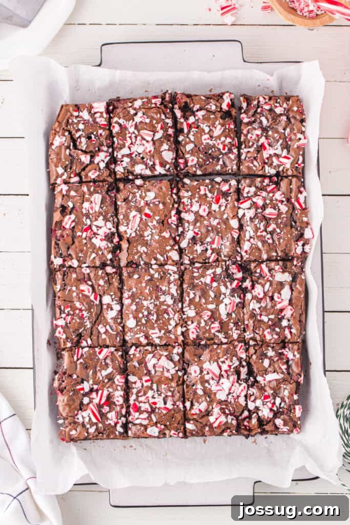 Candy Cane Swirl Brownies 11 A full pan of sliced Candy Cane Brownies topped with crushed peppermint pieces, shown overhead on parchment paper.