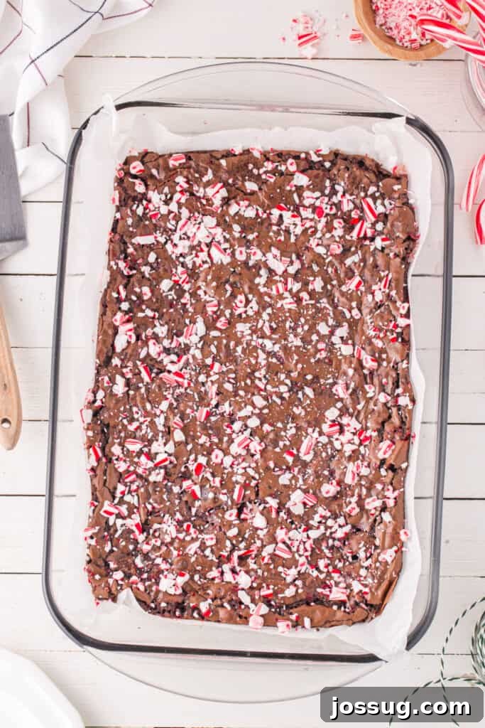 Candy Cane Swirl Brownies 10 Freshly baked Candy Cane Brownies in a glass baking dish, topped with melted and crunchy peppermint pieces.