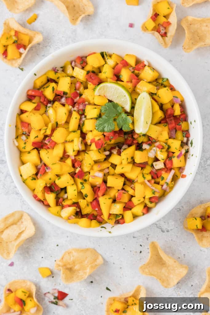 Mango Salsa Delight 2 Bowl of mango salsa with lime wedges and cilantro, surrounded by tortilla chips