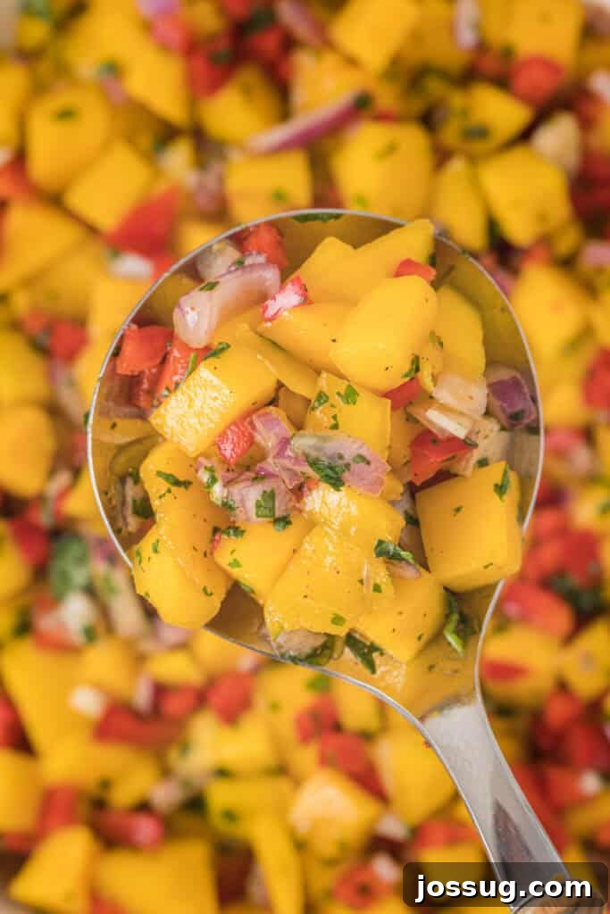 Mango Salsa Delight 11 Close up of mango salsa with diced mango, pepper, onion, and cilantro