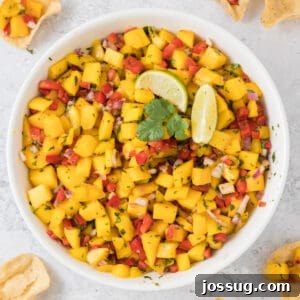 Mango Salsa Delight 15 Close up overhead shot of mango salsa