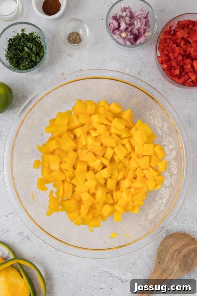 Mango Salsa Delight 5 Bowl with diced mango, cilantro, onion, pepper, and seasonings
