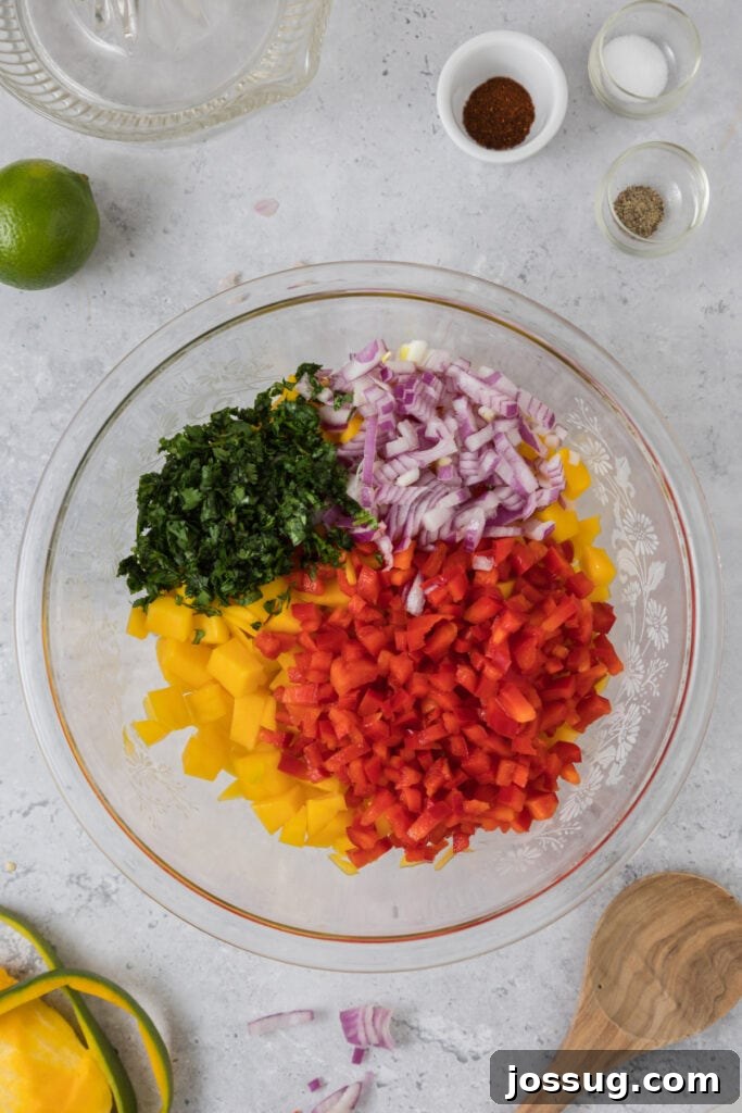 Mango Salsa Delight 6 Diced mango topped with red pepper, red onion, and cilantro