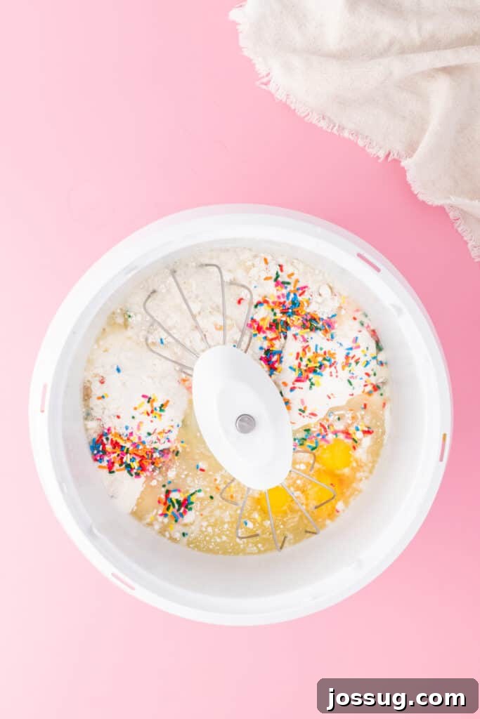 Birthday Cake Bites 3 Cake mix, eggs, oil, water, and sprinkles in a mixing bowl ready to be mixed