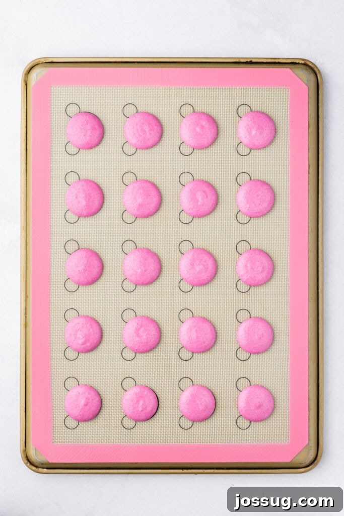 Pink macaron shells piped onto a silicone baking mat in evenly spaced circles before resting